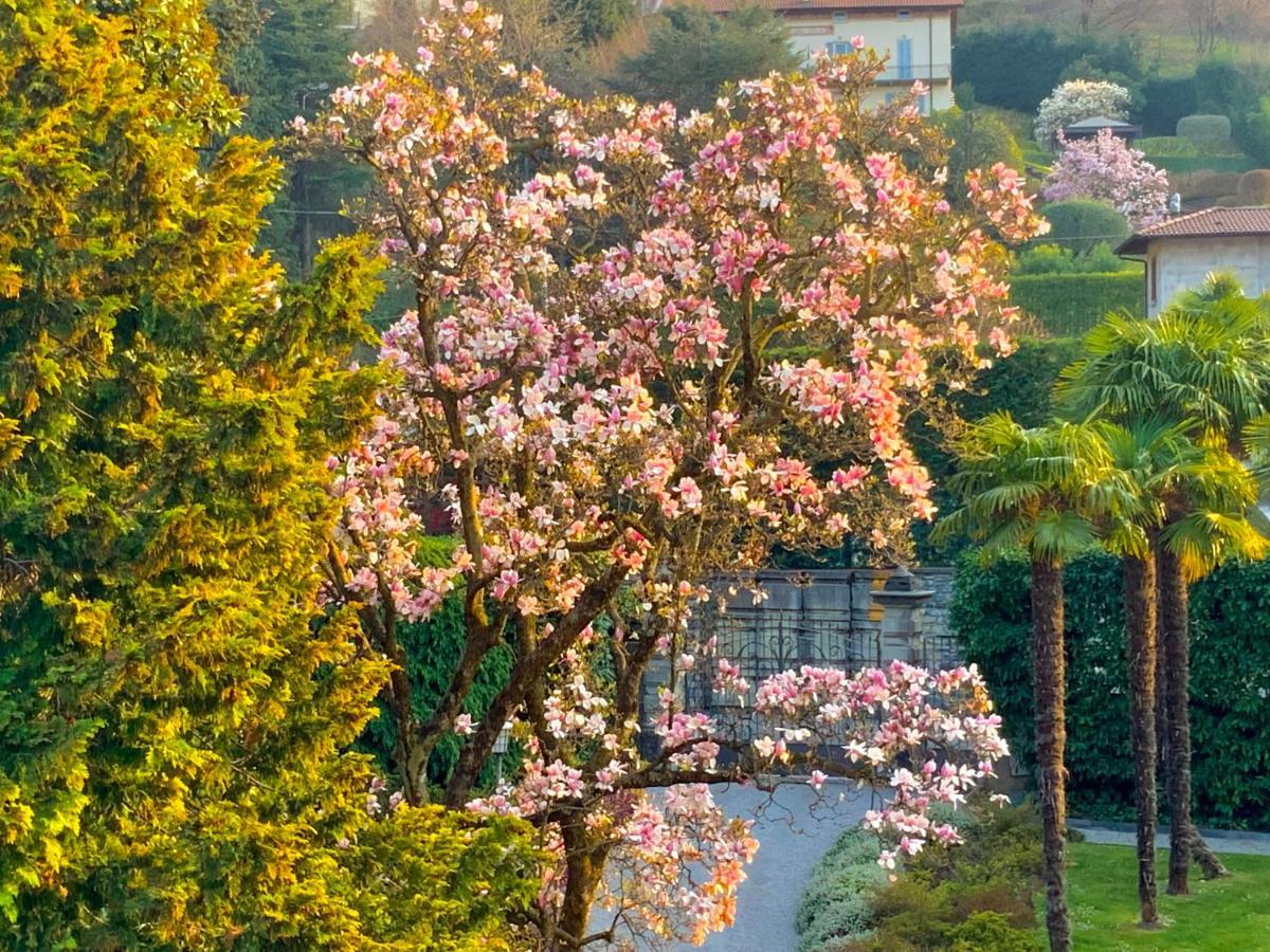 Villa Morosini Беладжо Екстериор снимка